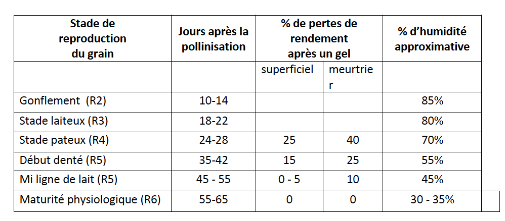 Courbe de séchage