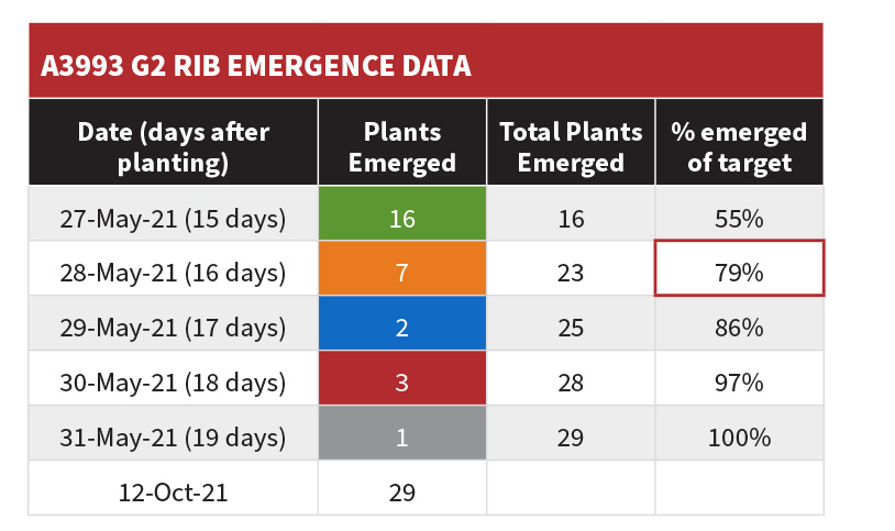 A3993G2 RIB Emergence Data