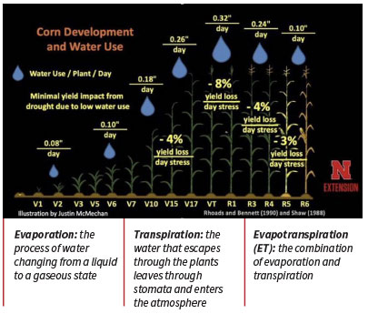 Corn development and water use chart
