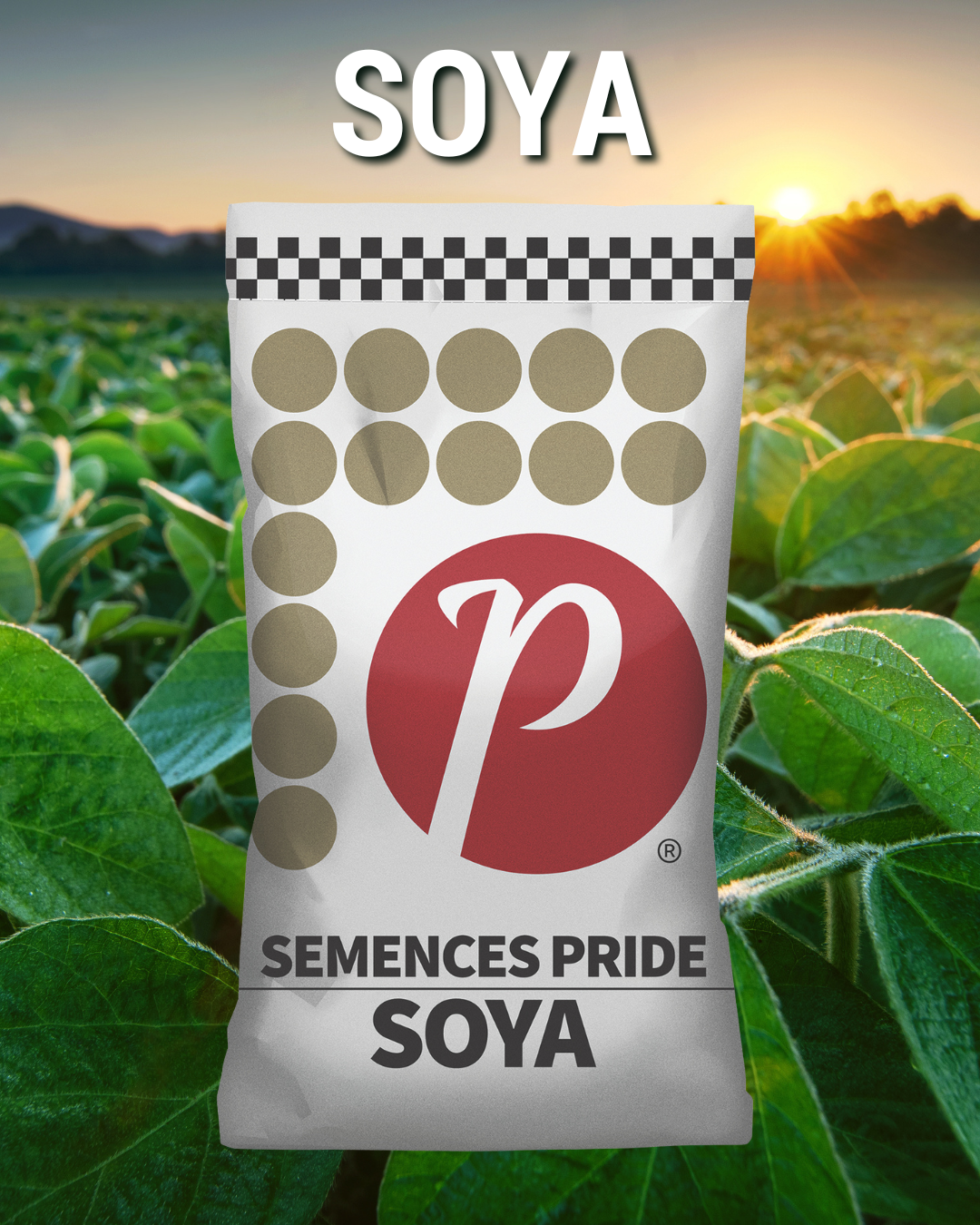 SOYA