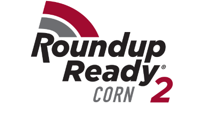 Roundup Ready 2 Corn