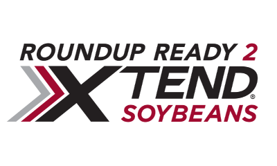 Roundup Ready 2 Xtend® soybean